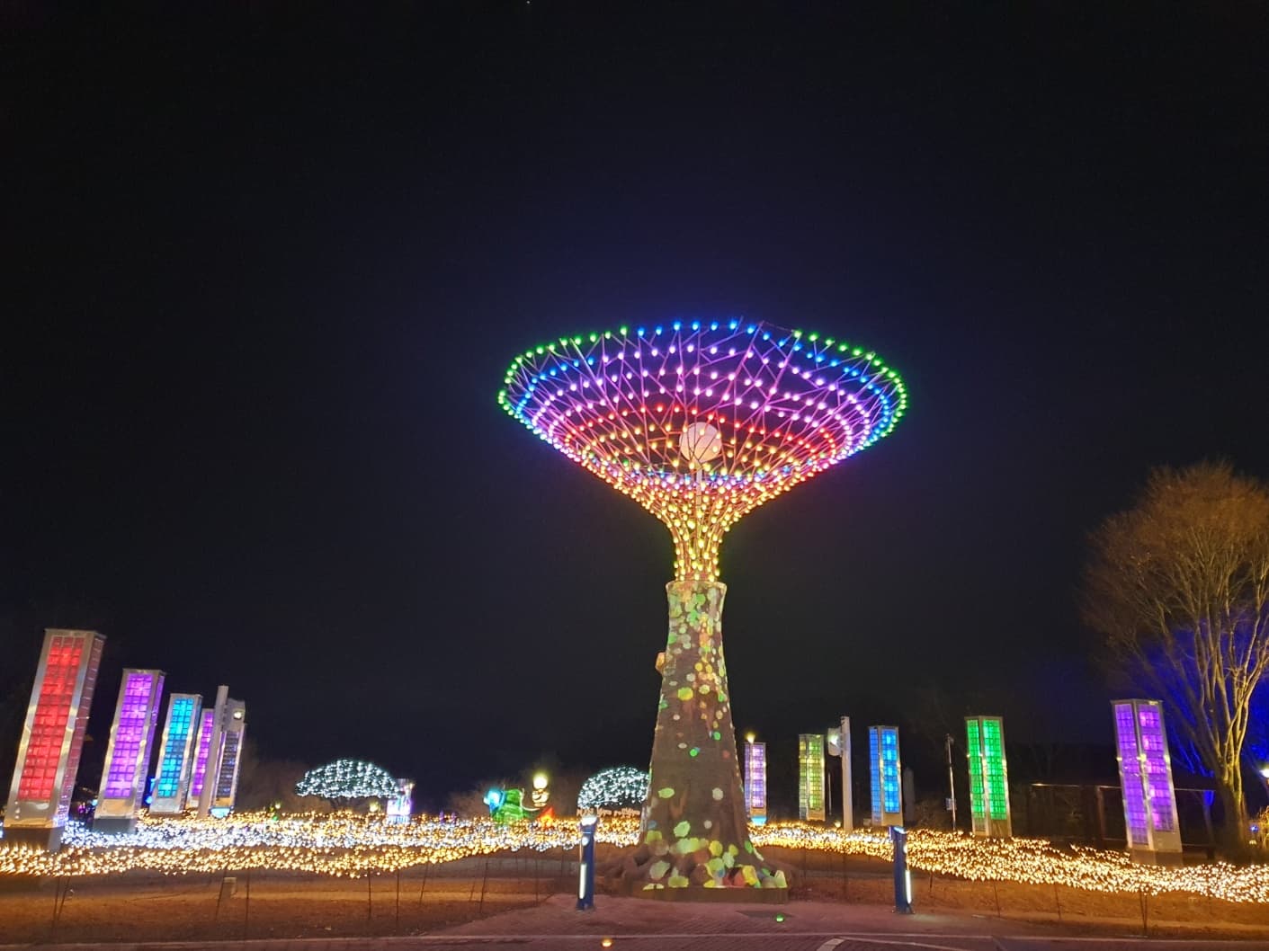 O-World Theme Park Night